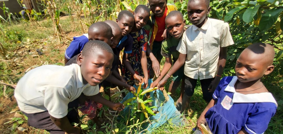 School children participate in tree planting